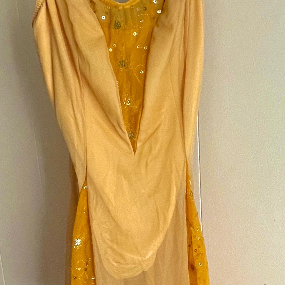 Professional Ballet Costume in Amazing Condition!!⭐️🩰✨